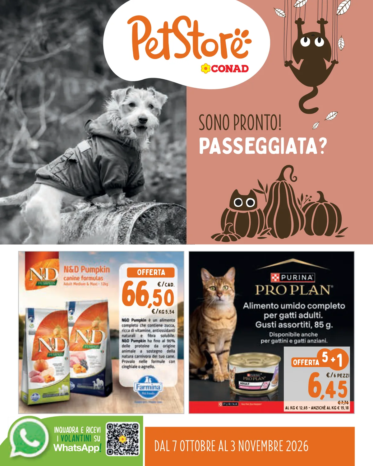 Volantino Pet Store Conad offerte Milano