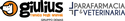 Logo Giulius