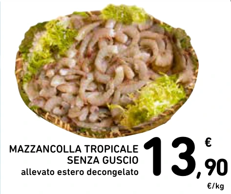 MAZZANCOLLA TROPICALE SENZA GUSCIO