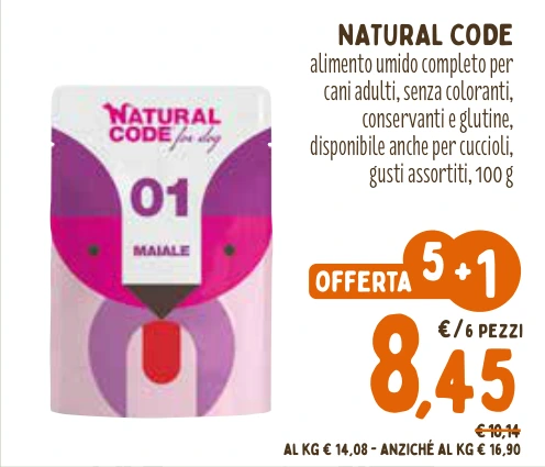 NATURAL CODE