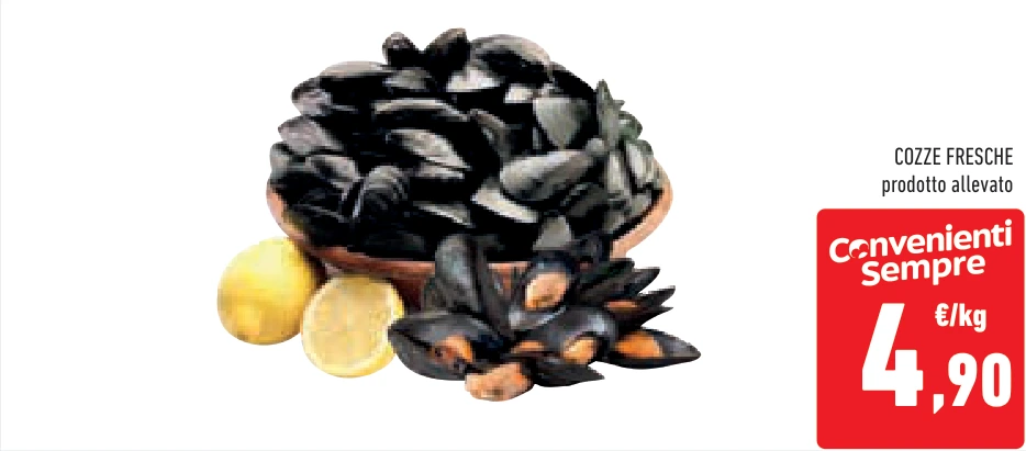 COZZE FRESCHE