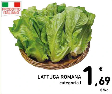 LATTUGA ROMANA