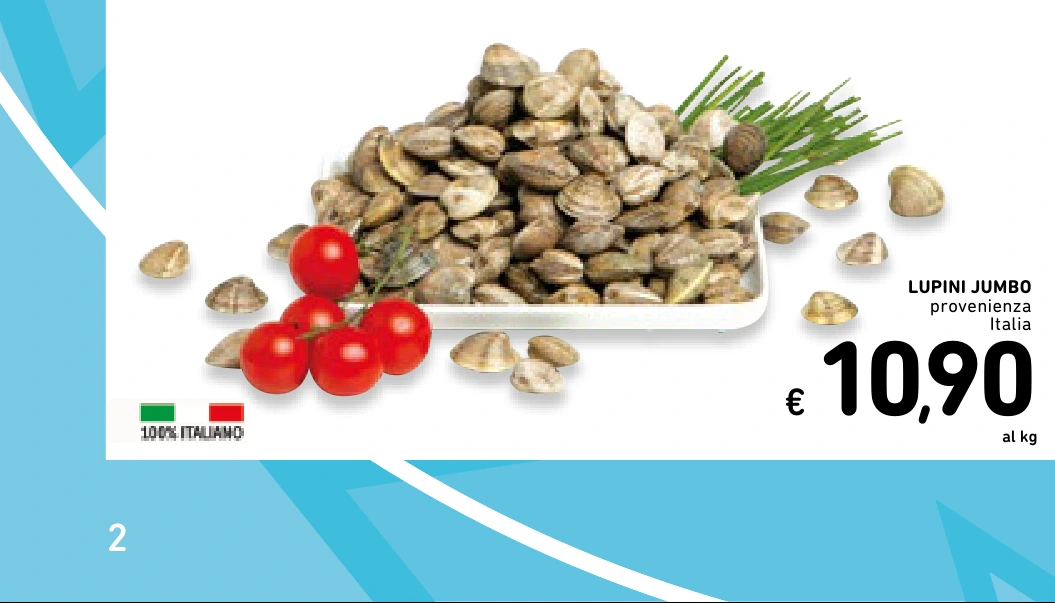 LUPINI JUMBO