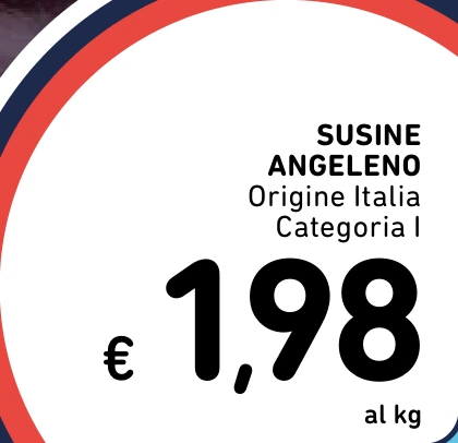 SUSINE ANGELENO