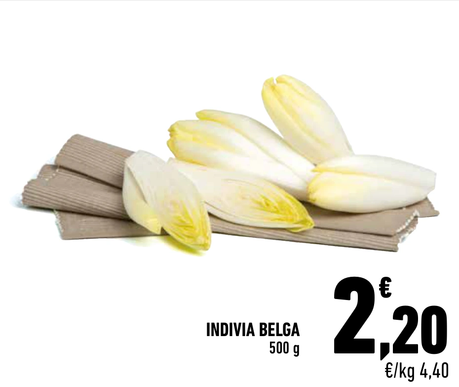 INDIVIA BELGA
