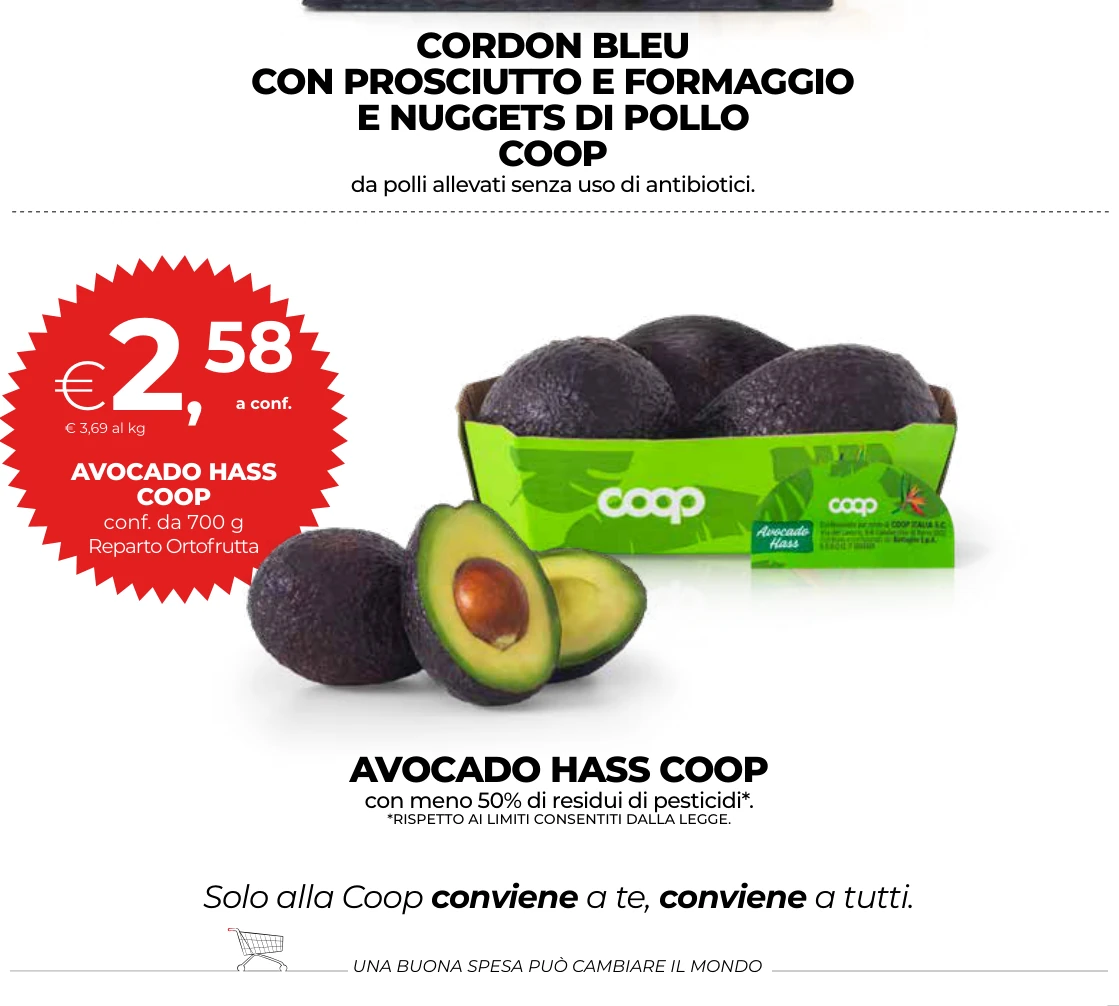 AVOCADO HASS COOP