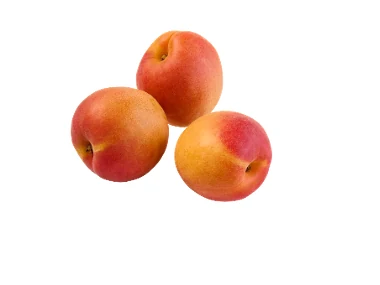 Albicocche