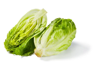 Insalata romana