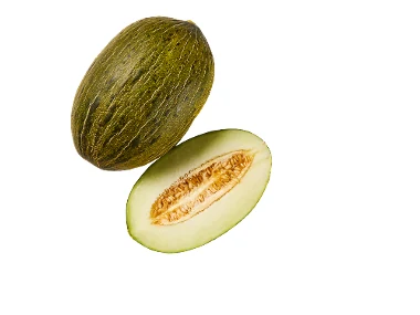 Melone verde Piel de Sapo