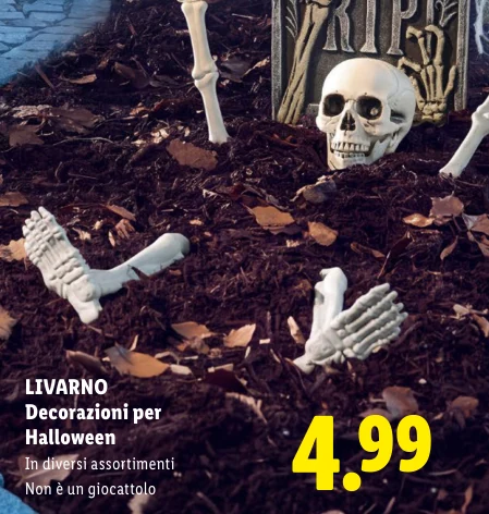Decorazioni per Halloween - Livarno